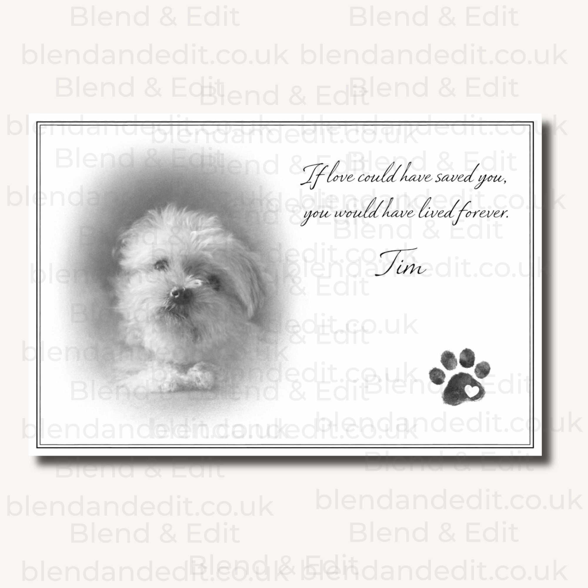 Personalised Pet Memorial Print – Custom Pet Artwork