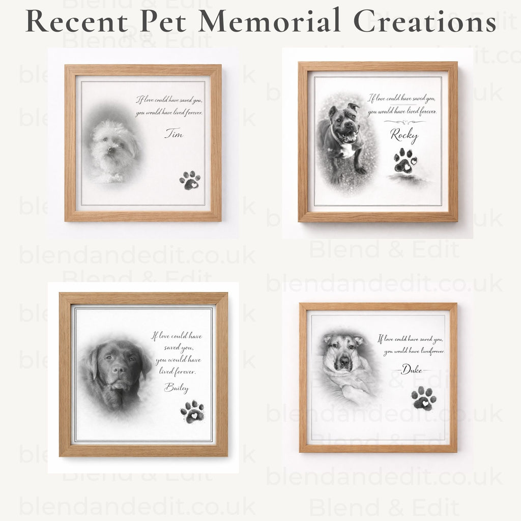 Personalised Pet Memorial Print – Custom Pet Artwork