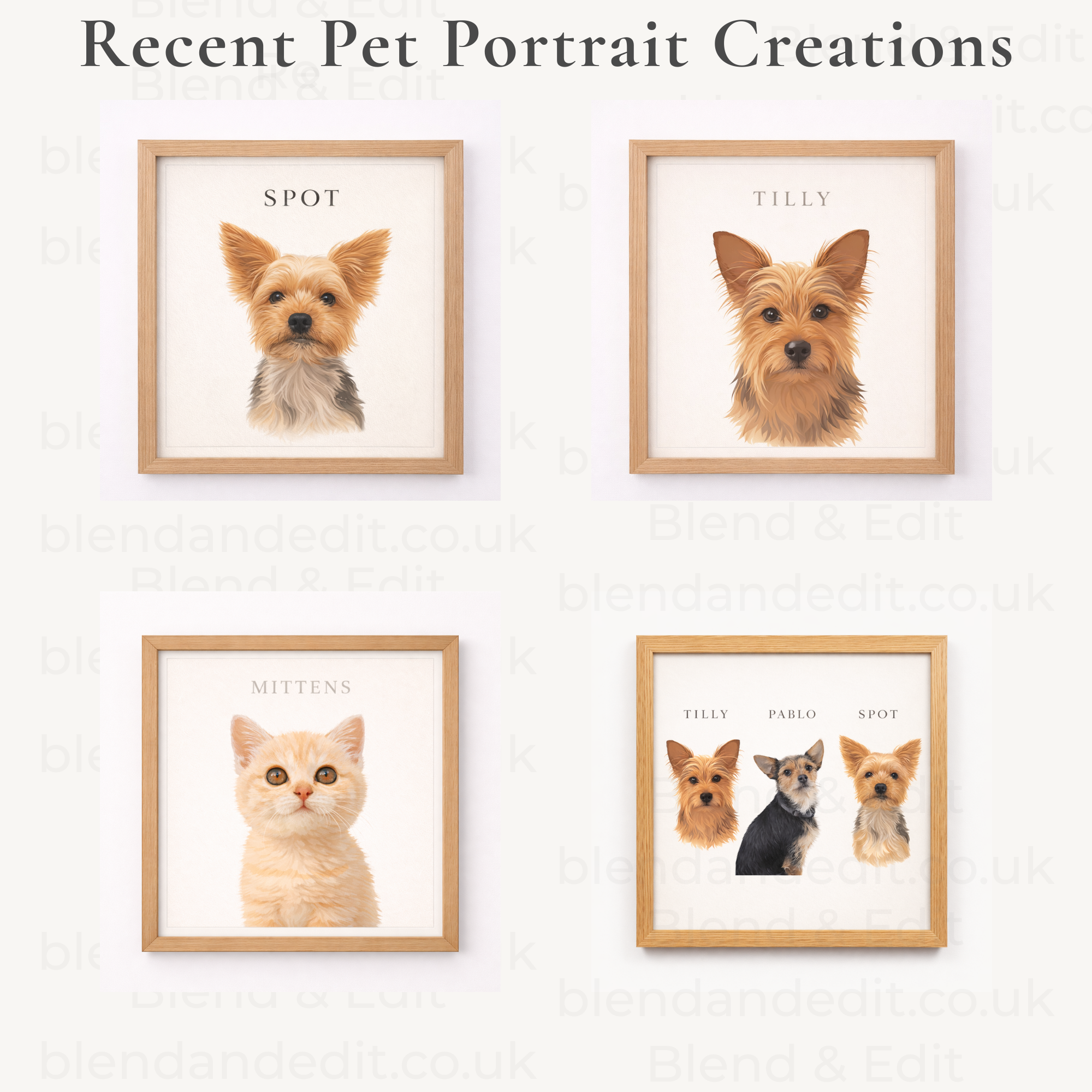 Custom Pet Portrait from Photo
